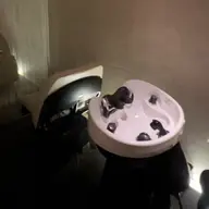 ヘッドスパ🫧(頭皮クレンジング＆トリートメント付)