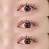 【再来様】フラットラッシュ100本