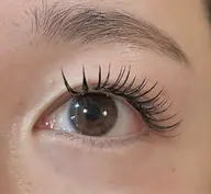 フラットラッシュ120本 オフ無し