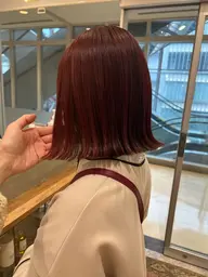 【1日3名様限定⭐️】ワンカラー🫧＋Aujua4stepトリートメント🍀