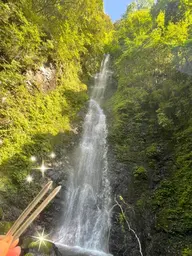 ◆minimoご新規様限定◆初回限定60分コース ¥12,000→¥11,980