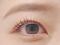 価格　lush lift上のみ