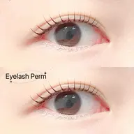 🩷【本日限定】人気No.1❣️まつ毛パーマ➕コーティング🩷