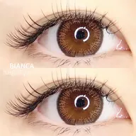 【 目元ぱっちり🪩】セーブル100本＋下まつげ20本🩵コーティング付