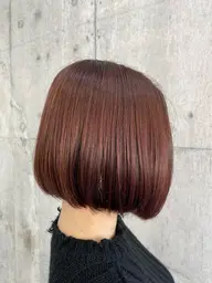 カット+ワンカラー+システムトリートメント