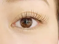 🌸 フラットラッシュ つけ放題 🌸