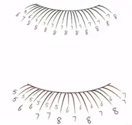 【下まつ毛】フラットラッシュ つけ放題♪ （単品予約不可）￥2500