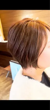 ショート、ボブスタイルのみ
