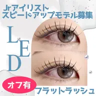 Jr担当🌹LED【オフ＋フラット80本】¥4,500
