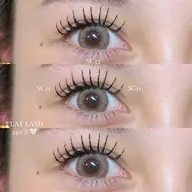 🩶フラットラッシュ200本🩶再来様￥10,340