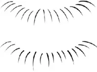 🌈下まつ毛🌸20本2990、40本3980、付け放題5500