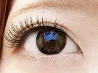 ✨フラットラッシュ140本✨