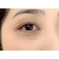 【🌹minimo価格🌹】新規【セーブル100本 】