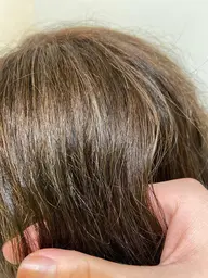 ✨ハイライト✨