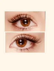 最新技術4D、5Dボリュームラッシュ バインドロック 160束「7980円」(上のみ)