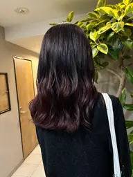 《ご新規》プレミアムオイルカラー【イノアカラー】フルカラー+カット