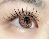 フラットラッシュ160本