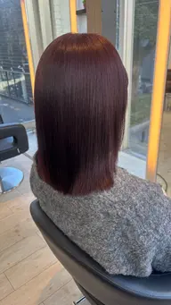 ダブルカラー + ヘアトリートメント✨️