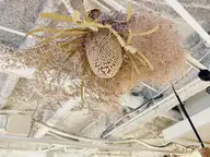 ご新規様 似合わせカット✂︎