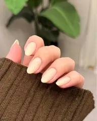 ワンカラー / グラデーション【オフ込】