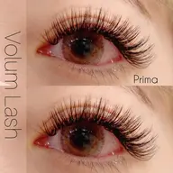 ≪ミニモ限定≫フサフサ濃密【3D~5Dボリュームラッシュ60束】(J/JC/C/D/L/CCカール)