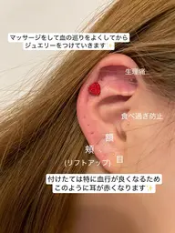 耳ツボジュエリー💎リフトアップ耳つぼ6粒