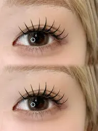 フラットラッシュ120本