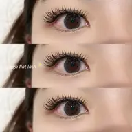 メガフラットラッシュ60束​〜​80束🪽🩷