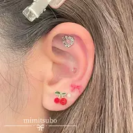 耳つぼジュエリー10粒🎀🪽