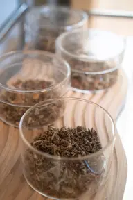 『初めての方にオススメ✨』漢方よもぎ蒸し40分＋ぽかぽか足浴《肩こり・冷え・むくみ・ストレス・美肌》