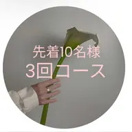 🌸春の得々3回エステ🌸《先着10名様》フェイシャルマッサージ＋サクション・毛穴吸引