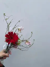 プチヘッドスパ【リフトスパ】（15分のスパメニュー）