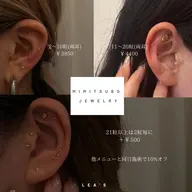 耳ツボジュエリー【両耳】2〜10粒