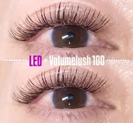 🌈新規価格！🌈💘LED⚡︎ボリュームラッシュ(100束)🫶🌈
