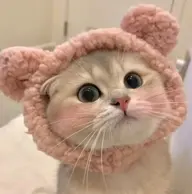 まつ毛パーマ+仕上げコーティング付き🪐 ⟡.⋆