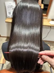 【最高級メニュー】パウダートリートメント+美革ストレート+カット