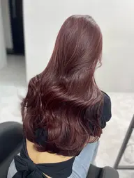 ワンカラーのみ‼️【本日限定】