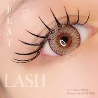 フラットラッシュ80本2400円