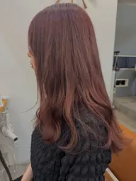 【minimo限定価格】カラー🩵ワンカラーのみ