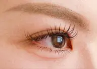 高級セーブル80本