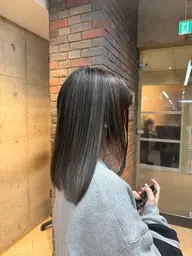 カット+ハイライト