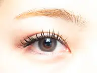 🌺フラットラッシュ🌺120本