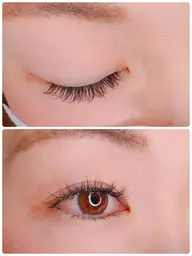 フラット・シングルラッシュ(両目100本)