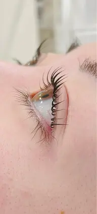 【まつげパーマパリジェンヌ上下】無料モデル🌼日時指定あり⚠️🌈詳細を必ずお読み下さい