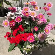 ⭐minimo限定⭐カット & 縮毛矯正 & トリートメント