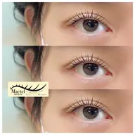 SNSで話題！！🐻メーテルラッシュリフト🐻