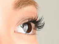 フラットラッシュつけ放題