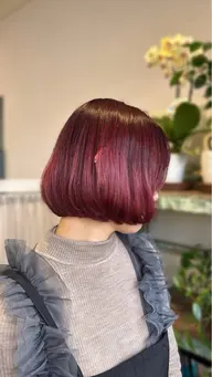 カット➕システムトリートメント