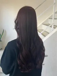 フルカラー＋トリートメント