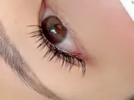 フラットラッシュ１２０本orダブルフラット１２０本